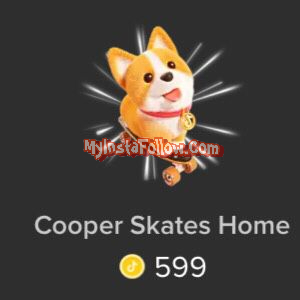 Cooper Skates Home Tiktok Gift